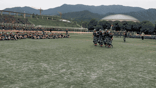 0.gif