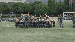 0 (1).gif